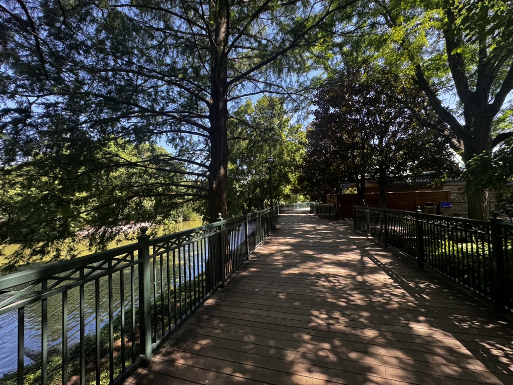 Path forward